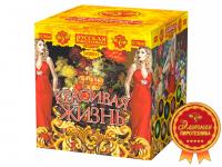 Красивая жизнь Фейерверк купить в Вышкове | vyshkov.salutsklad.ru