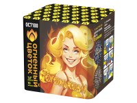 С огоньком! Фейерверк купить в Вышкове | vyshkov.salutsklad.ru