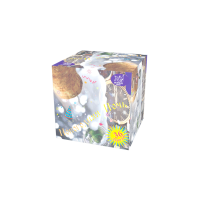 Новогодняя ночь Салют купить в Вышкове | vyshkov.salutsklad.ru