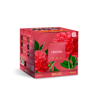 Пионы Салют купить в Вышкове | vyshkov.salutsklad.ru