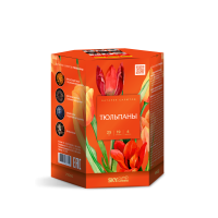 Тюльпаны Салют купить в Вышкове | vyshkov.salutsklad.ru