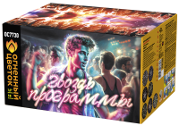 Гвоздь программы Фейерверк купить в Вышкове | vyshkov.salutsklad.ru