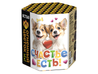 Счастье есть! Салют купить в Вышкове | vyshkov.salutsklad.ru