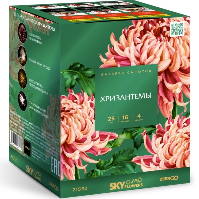 Хризантемы Фейерверк купить в Вышкове | vyshkov.salutsklad.ru
