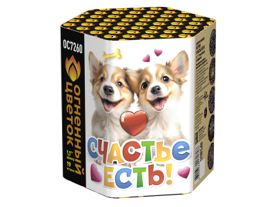 Счастье есть! Салют купить в Вышкове | vyshkov.salutsklad.ru